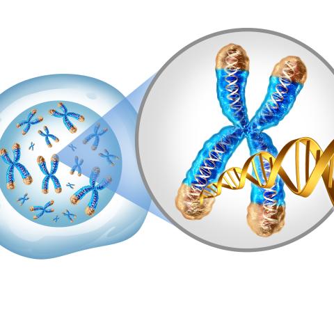 Multiplexed perturbation architectures