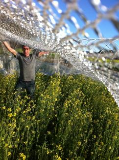 McMansel Summer Wine Country 2011
