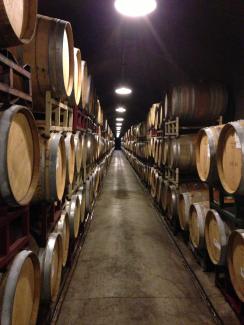 Wine Country Summer 2013