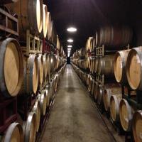 Wine Country Summer 2013